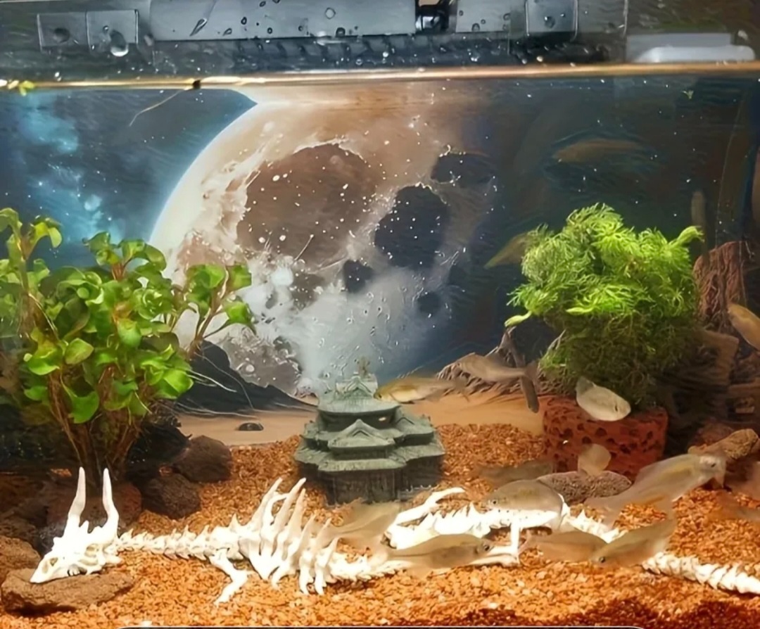 Dekorácie aquaria repliky - 13