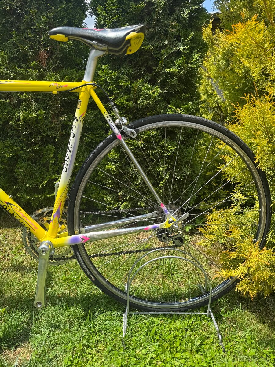 Colnago Tecnos AD - 13