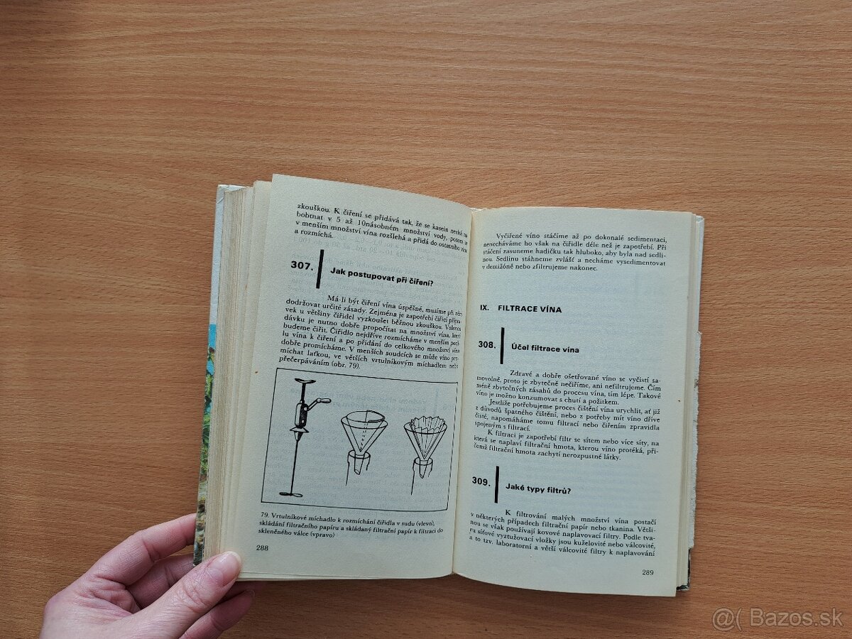 Pestovanie viniča - 13