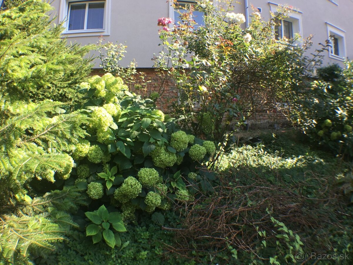 2izb.byt na predaj pri centre na Jilemnického - 13