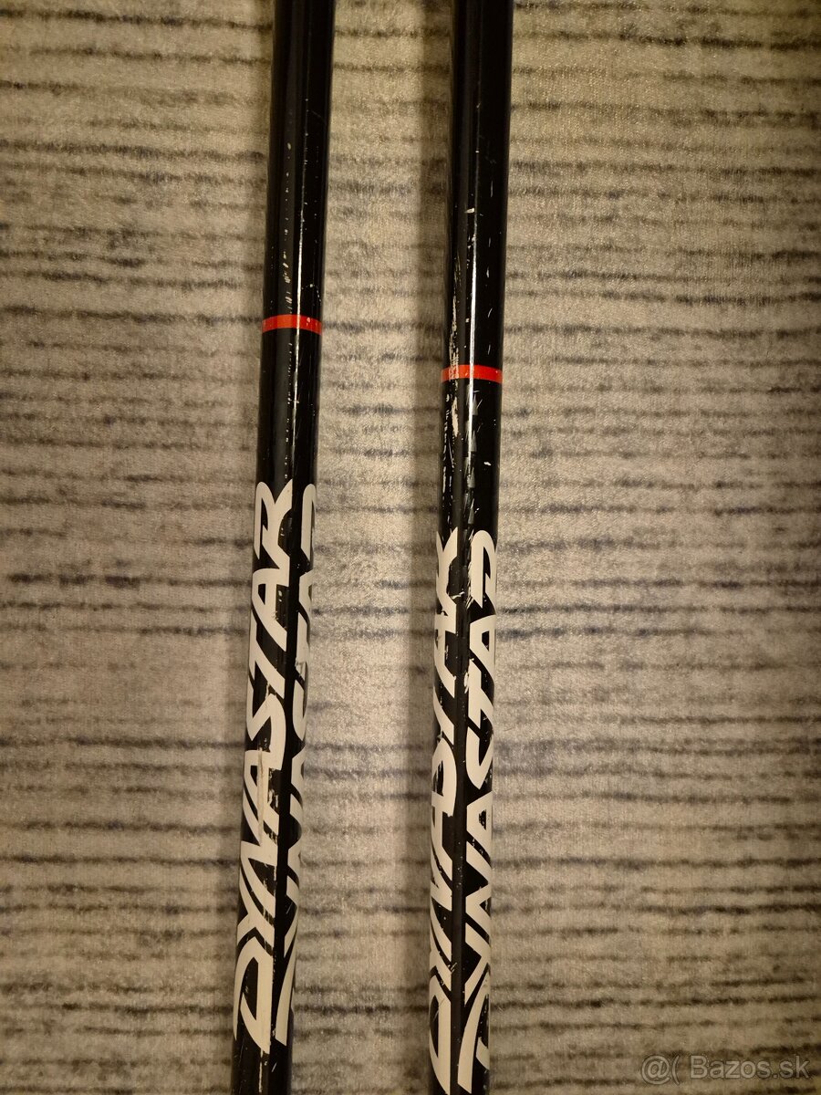 Lyže Dynastar + palice (set) - 13