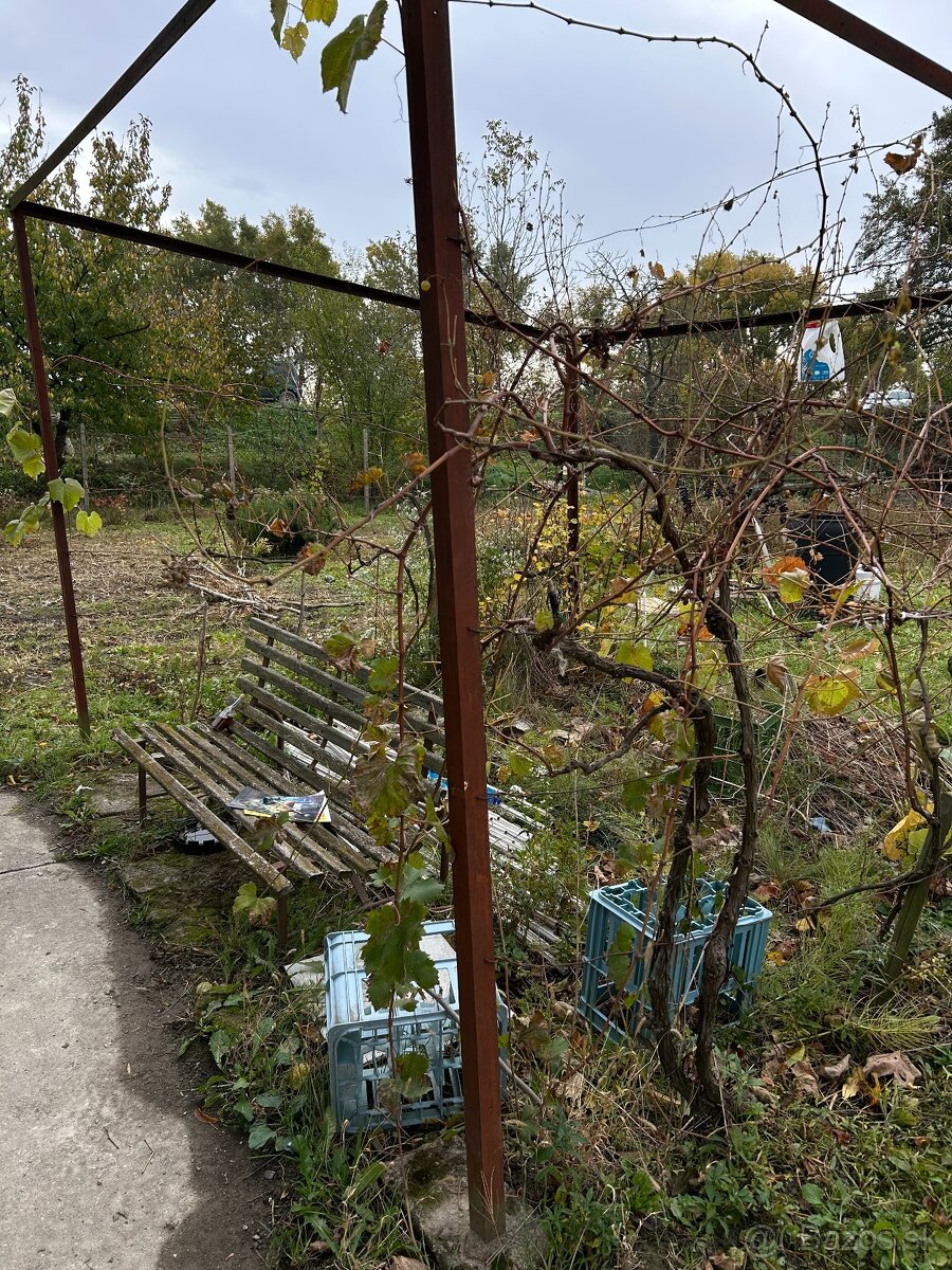 Záhrada vo Svätom Jure - 13