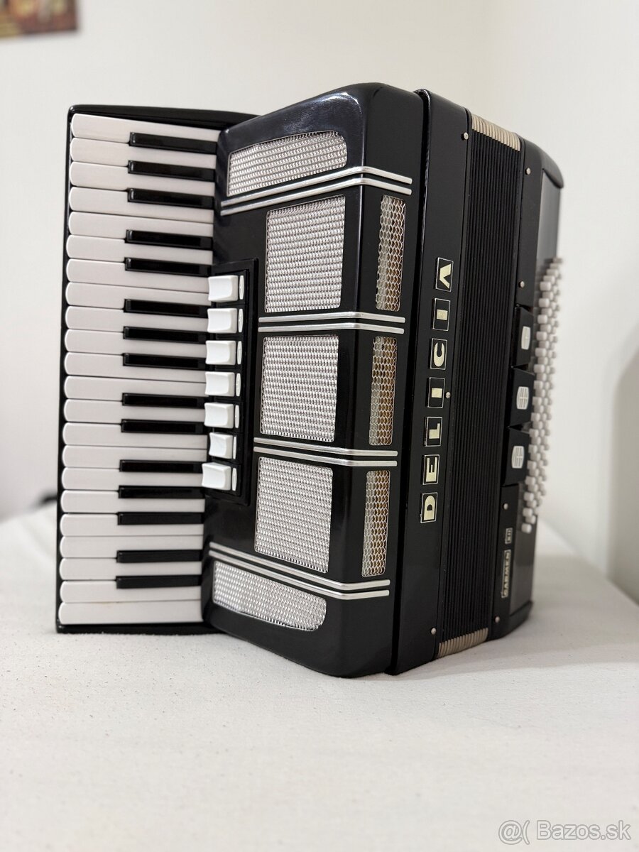Akordeón DELICIA Carmen XII - 13