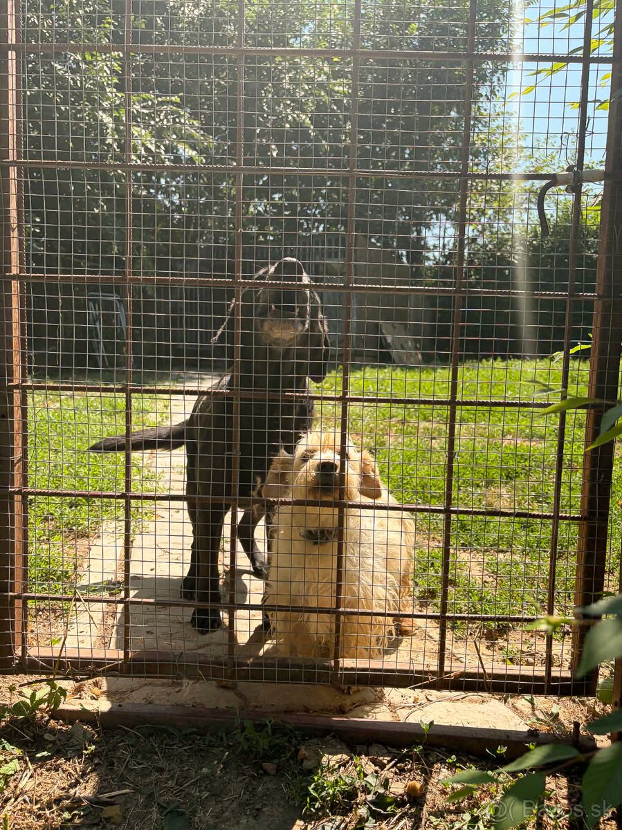 Fotografia 13