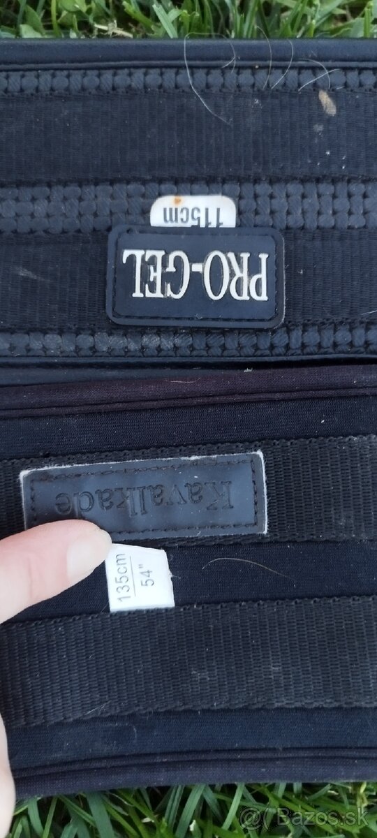 Veci pre koňa a jazdca - 13