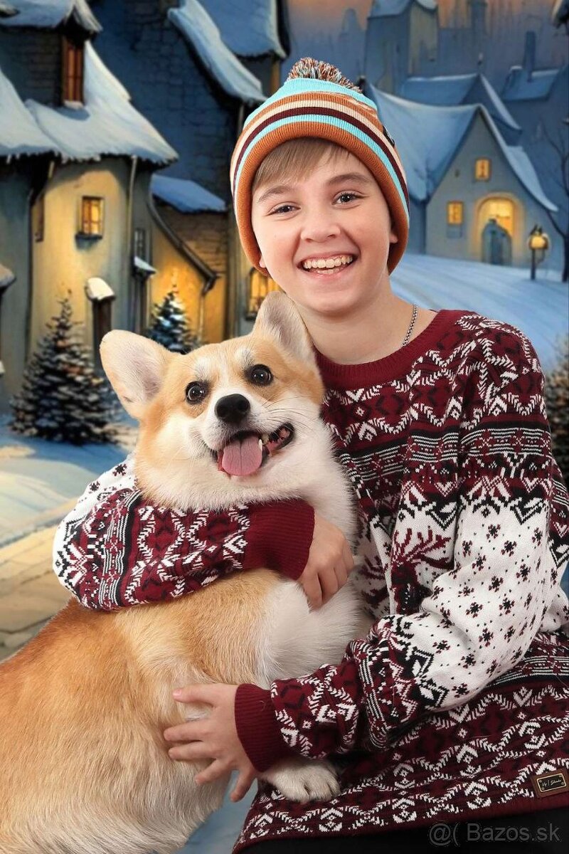 Predám šteniatko fenku corgi - 13