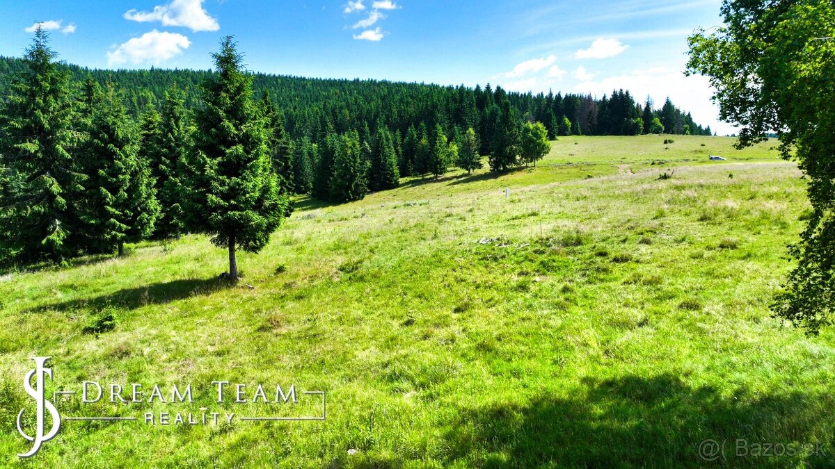 Stavebný pozemok 2.2ha v krásnom prostredí Látky okr. Detva - 13