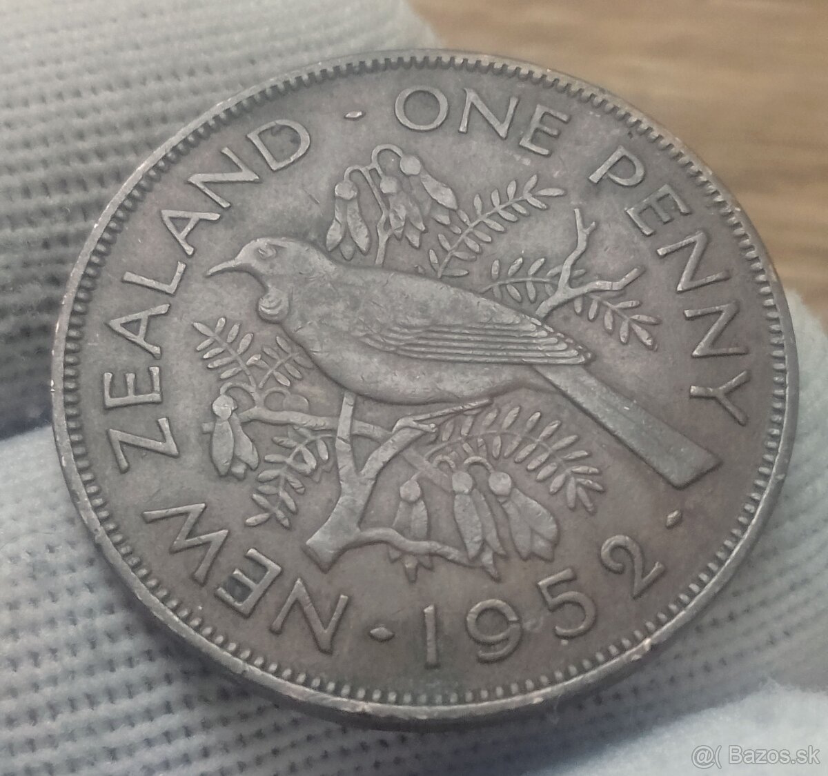 Mince Nový Zéland. - 13