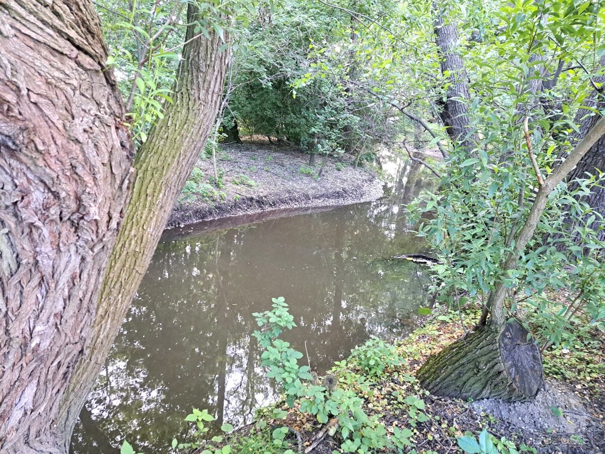 PREDAJ - rodinný dom v obci Cífer - novostavba - 13