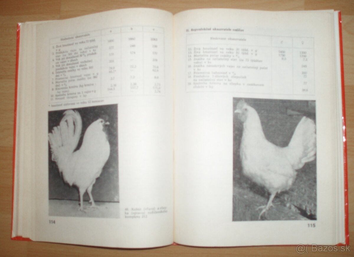 Najvýkonnejšie plemená a typy hydiny - 13