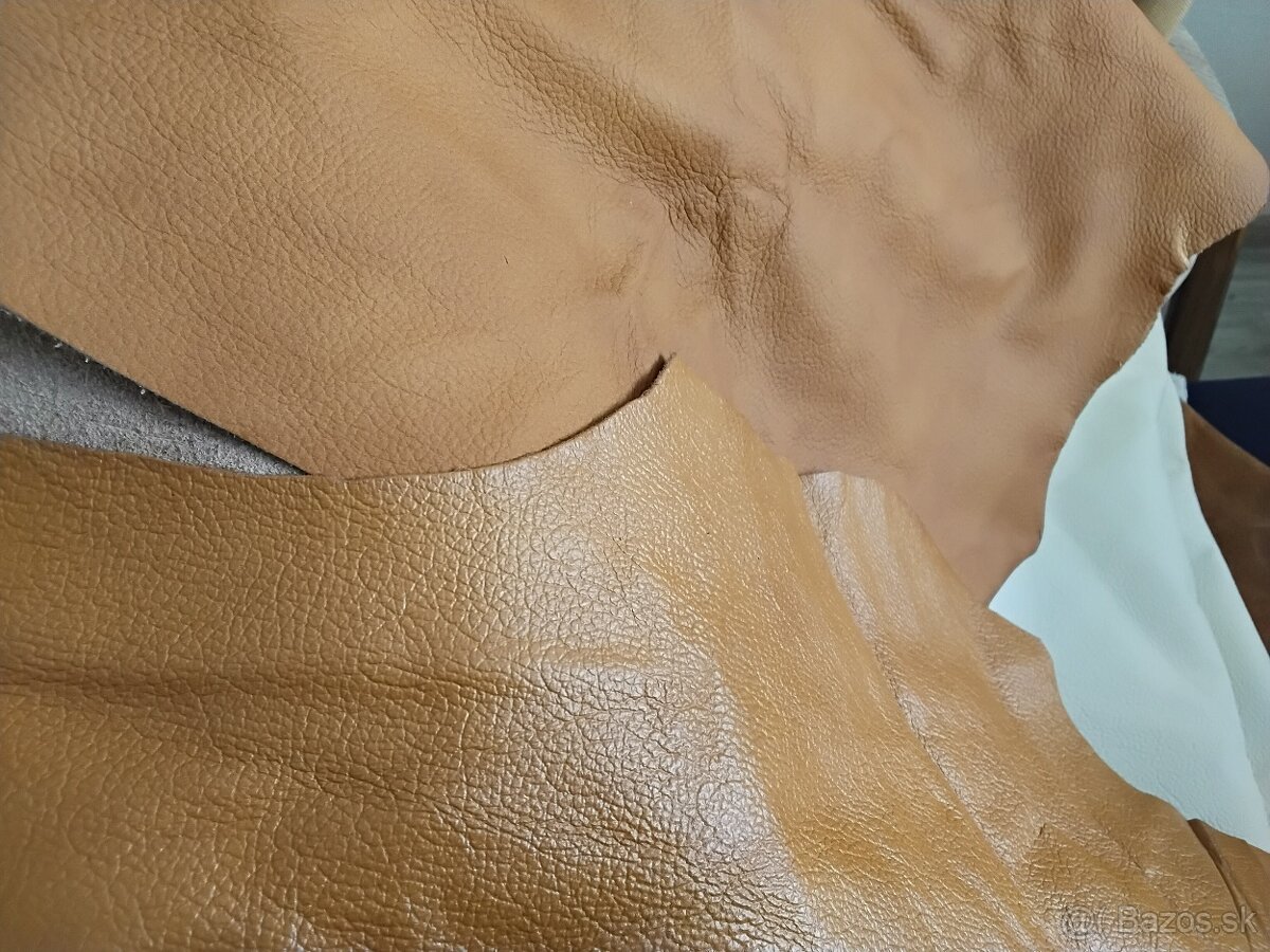 Čalunicka koža - 13