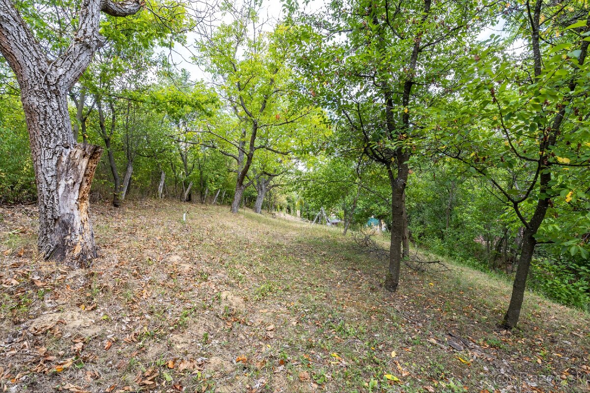 Na predaj útulný domček v obci Pányok - 13