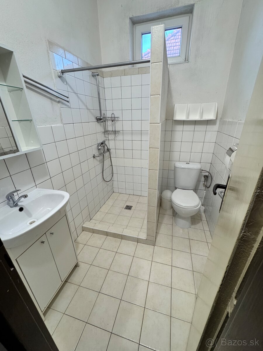 Priestranný podpivničený rodinný dom v Zlatých Moravciach – - 13