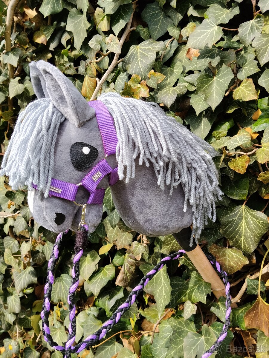 Hobby horse - 13