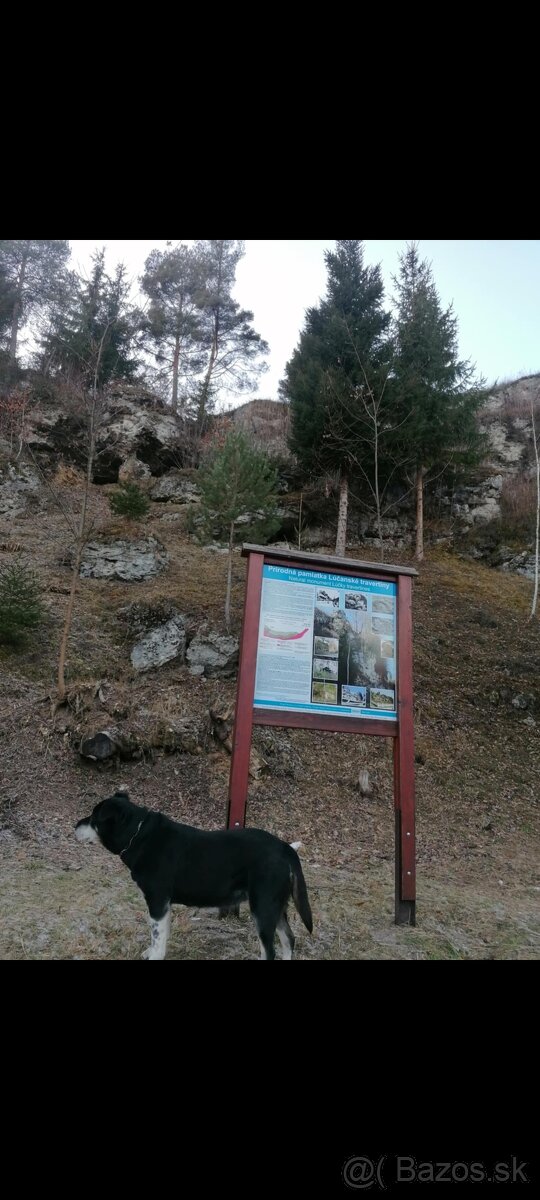 Ubytovanie - Liptov (Lúčky) - 13