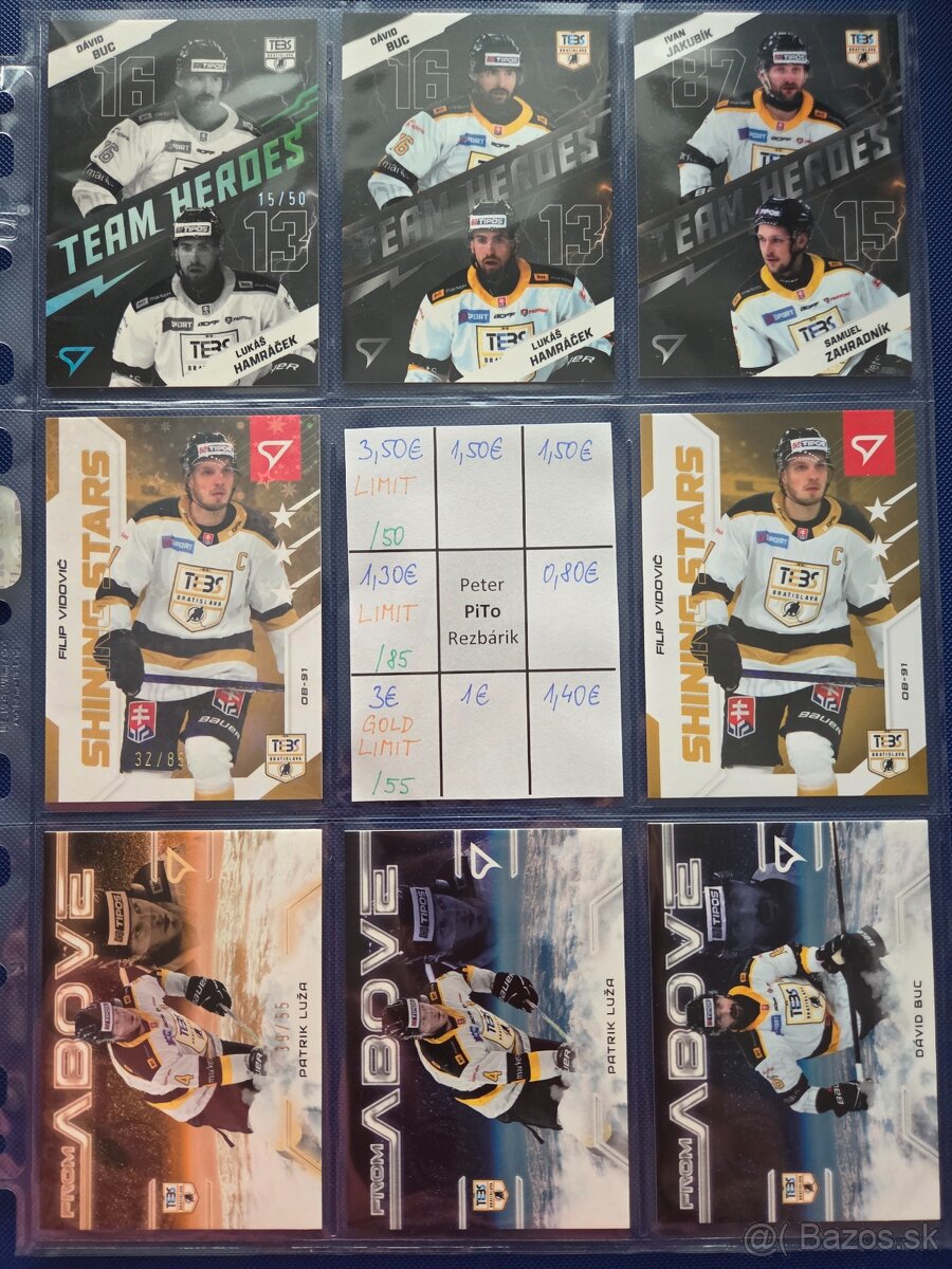 SHL - Dubnica, PB, Humenne, Bratislava - 13