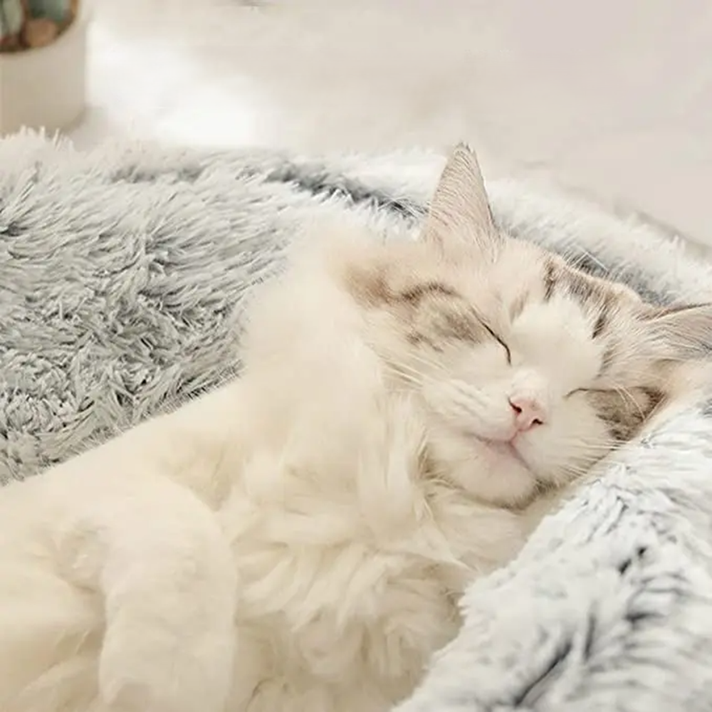 Pelech zimný extra chlpatý polouzavretý, 50x50cm - 13