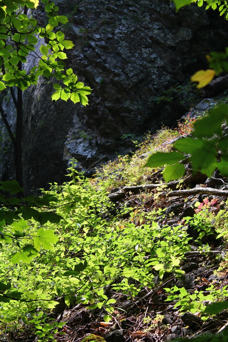 Digitálna zkradlovka Canon eon 1100D + EF-S 18-55mm DC III - 13