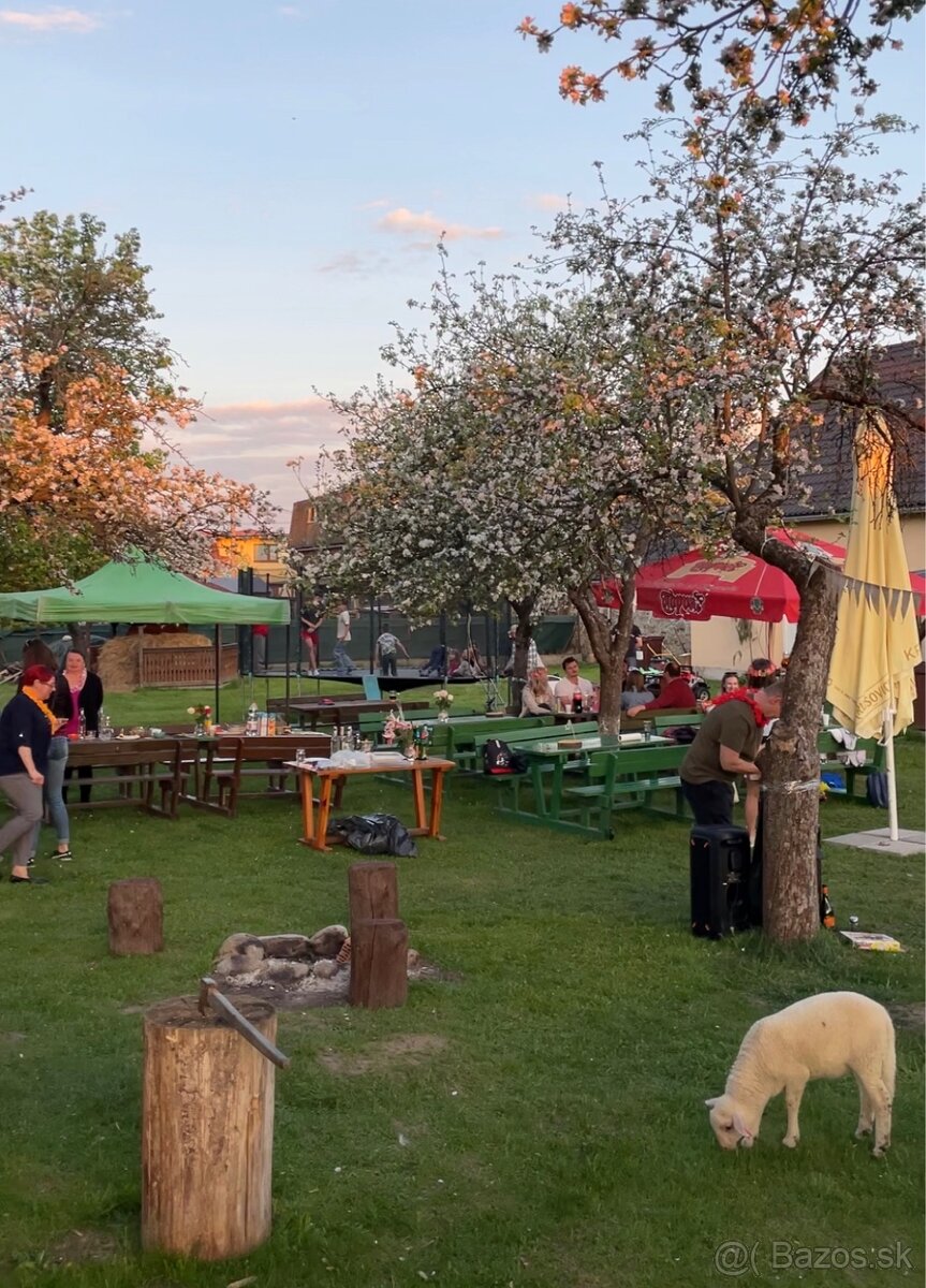 Prenájom priestoru - 13