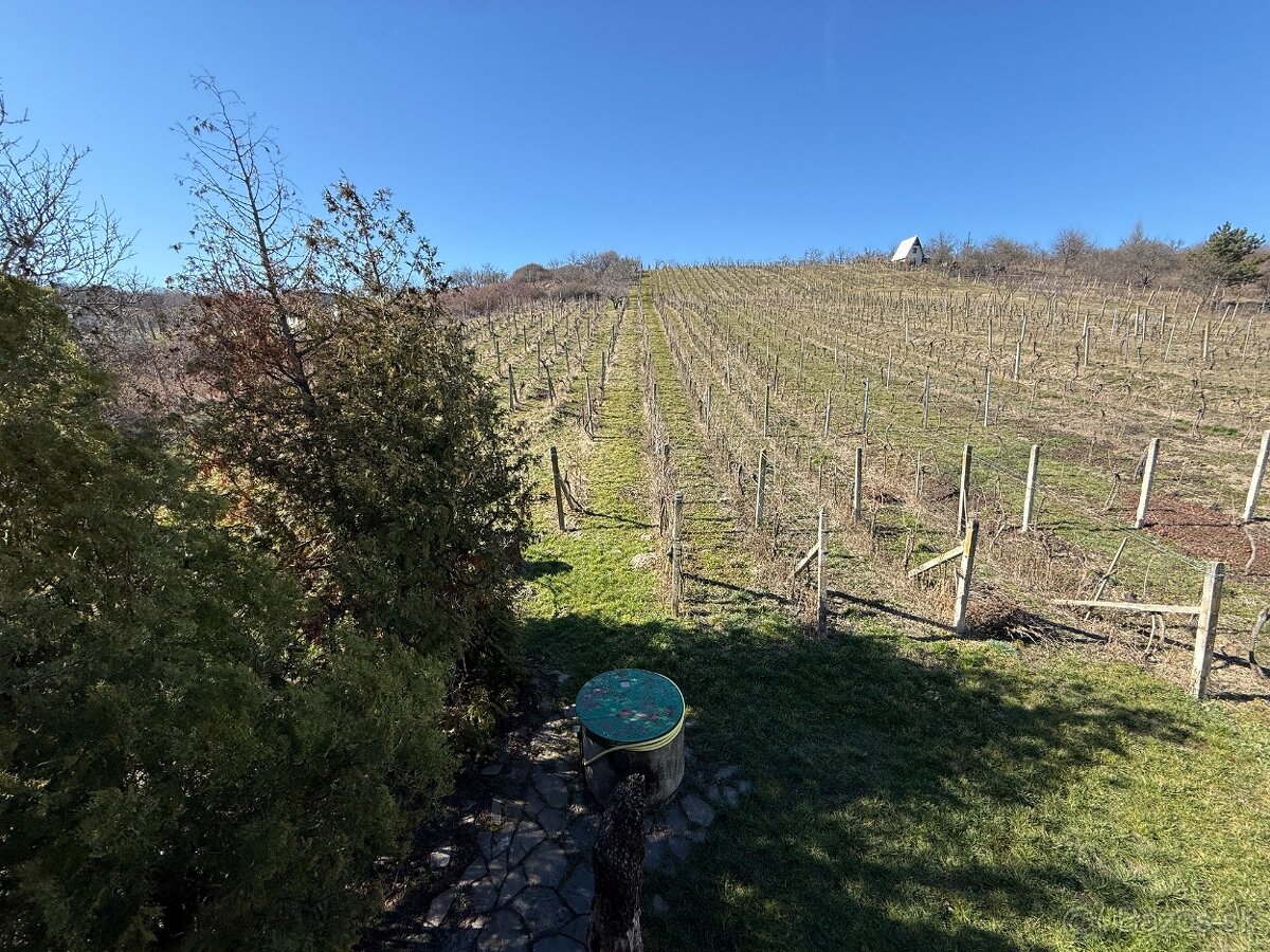 VYZÁLOHOVANÉ PREDAJ - CHATA S VINICOU - ZLATÉ MORAVC - 13