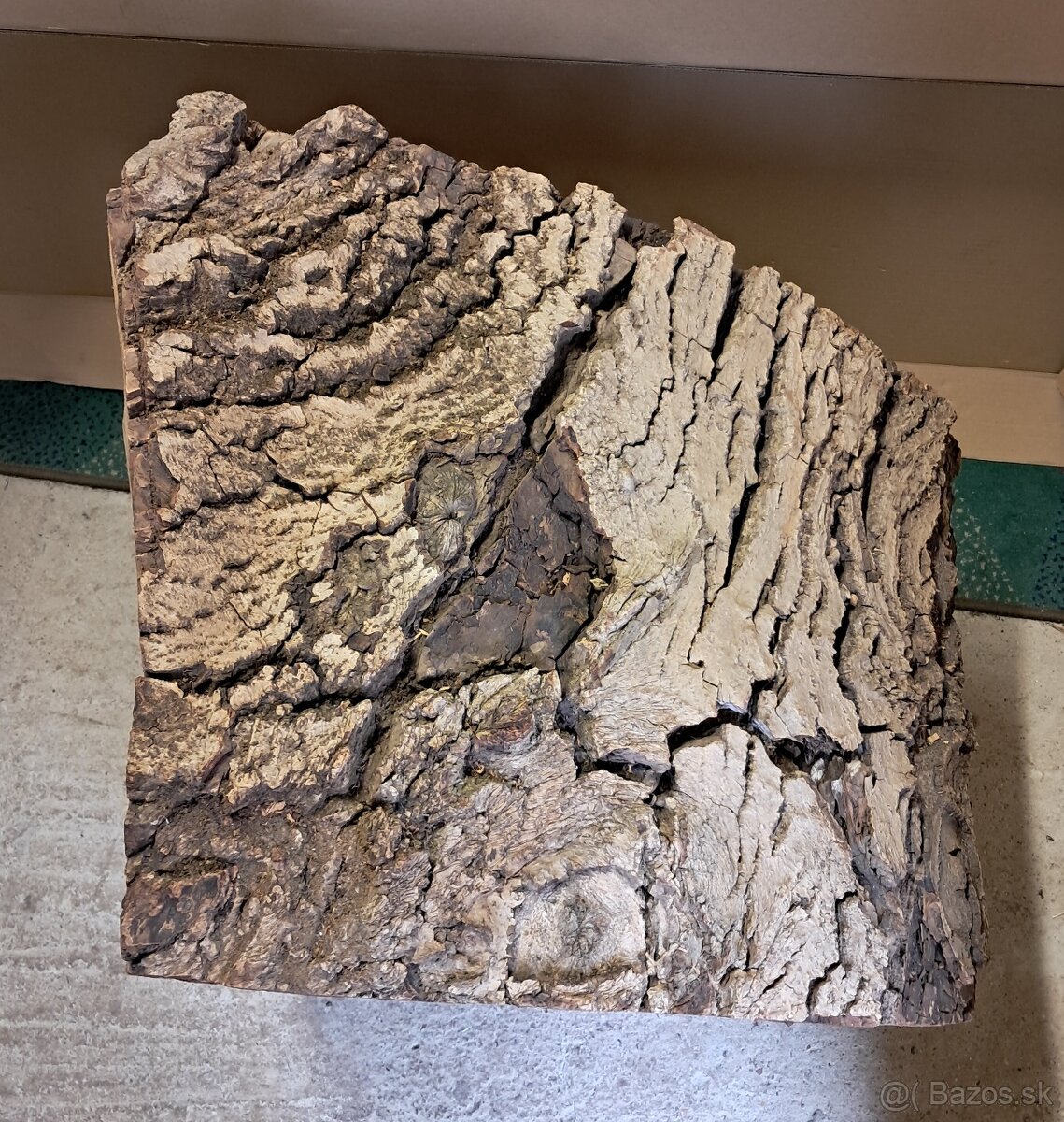 Orechovy kmen drevo - 13