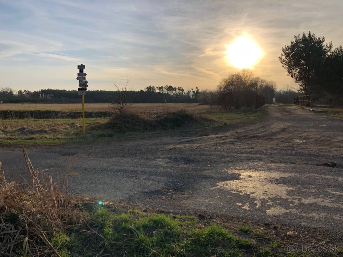 Veľký Pozemok 45 172 m² pri Malých Levároch - 13