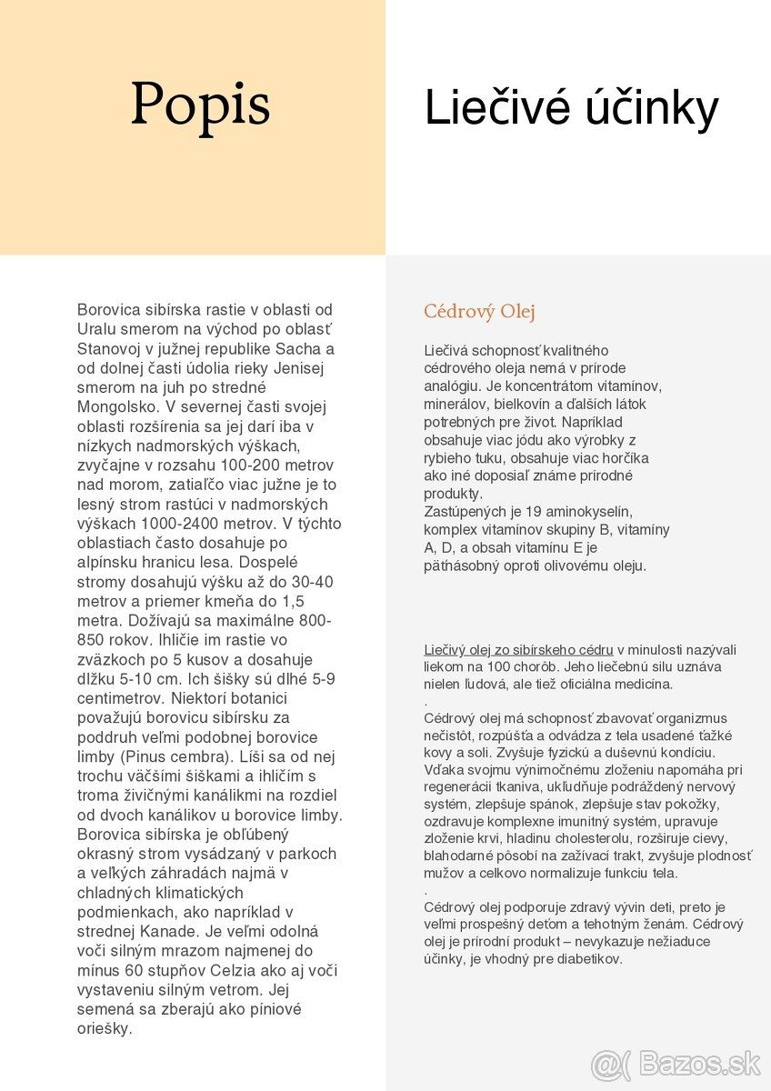 Sibírsky Céder / Pinus Sibirica Stromčeky - 13