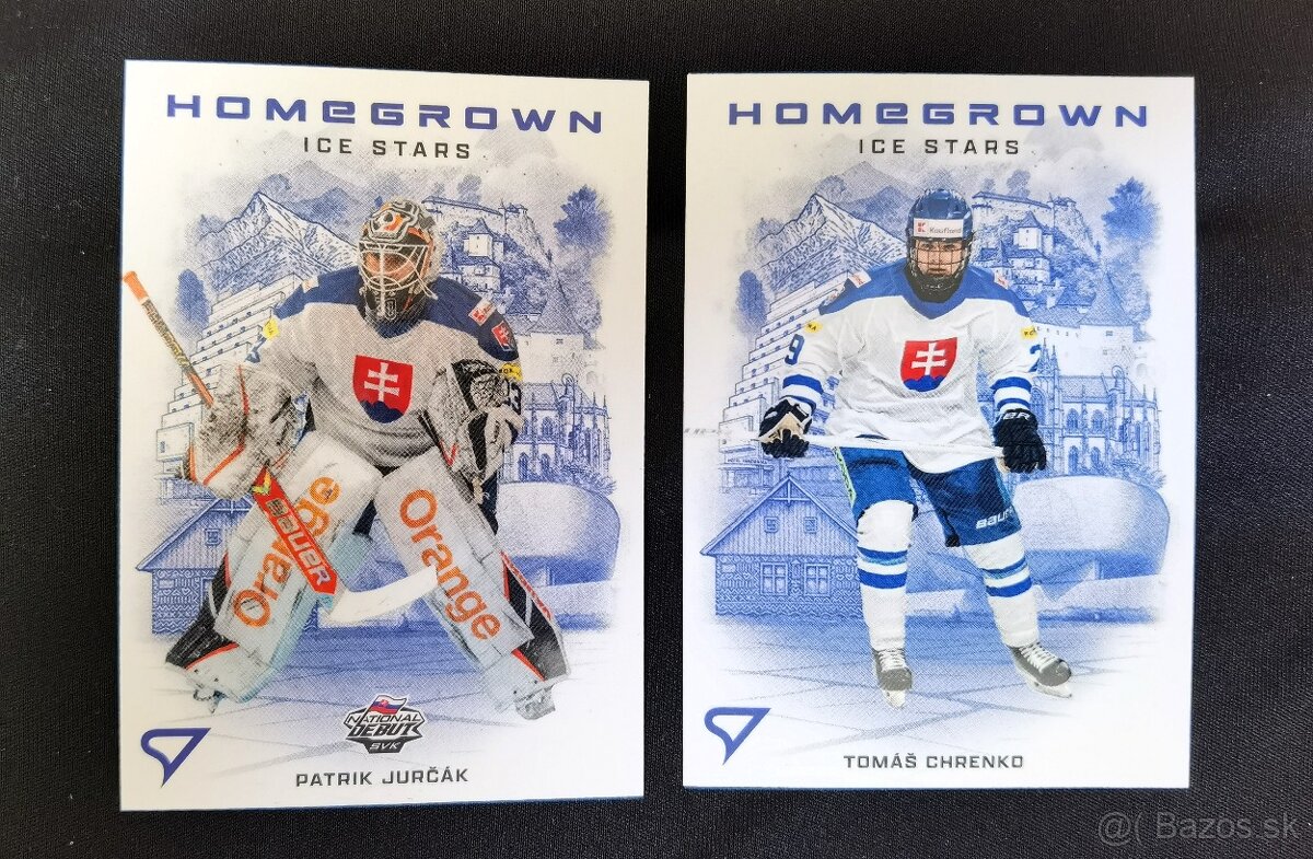 Hokej SHL / Tipsport Extraliga - 13