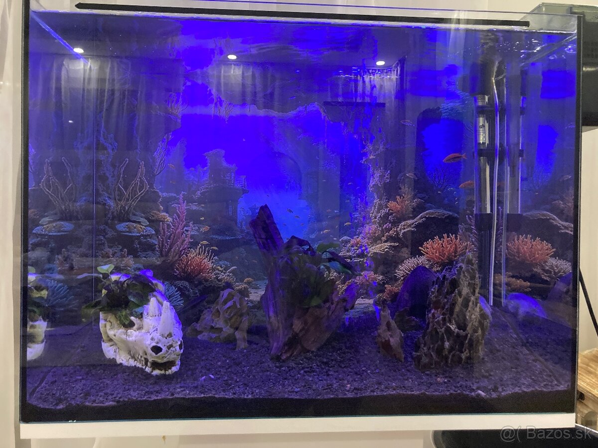 Zariadené akvárium 75l - 13