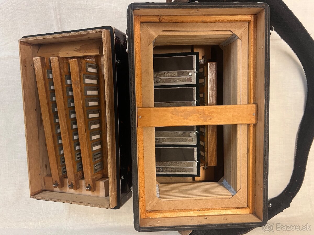 HELIGONKA KEBRDLE - 13