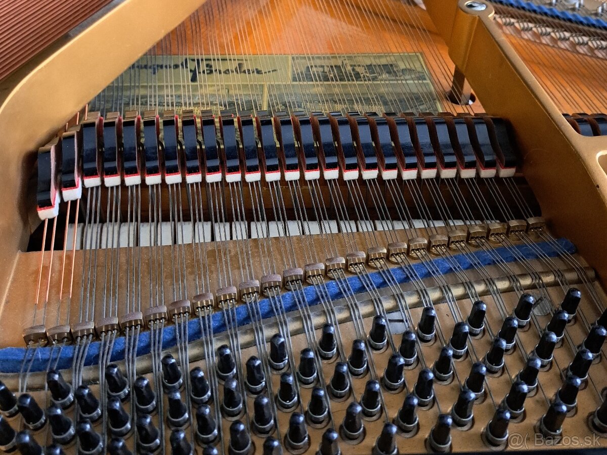 Klavír - křídlo August Förster - 13