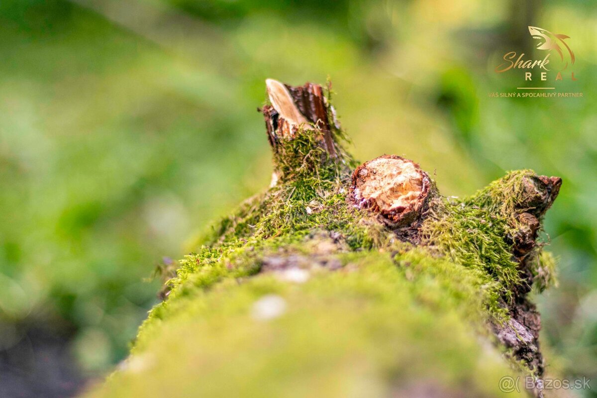 Pozemok v lone prírody s potôčikom– ideálny pre vašu vysníva - 13