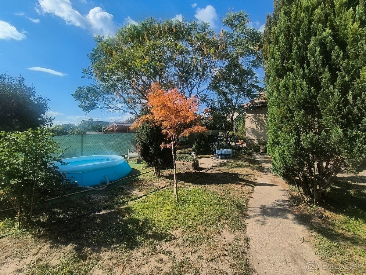 Fotografia 13