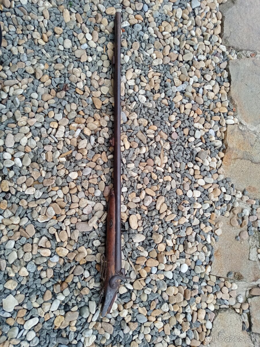 Dostavniková Brokovnica - 13