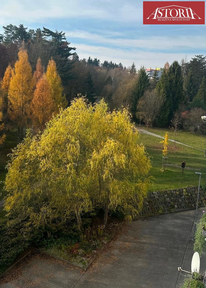 PRENÁJOM 2 izbový byt Žilina Rosinská cesta - 13