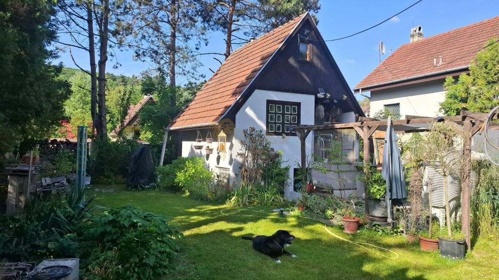 záhradná chata so záhradou, Devínska cesta, Devín - 13