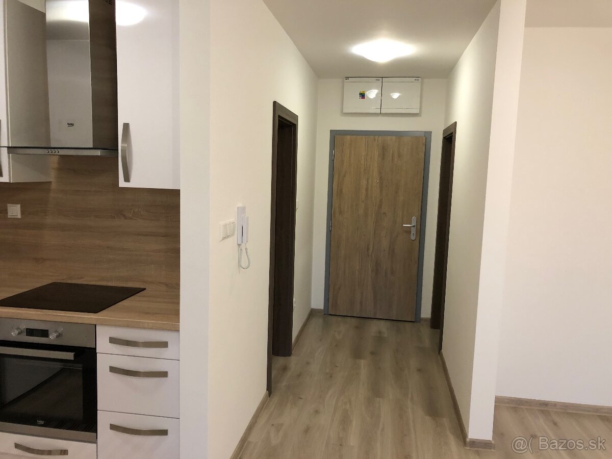 Prenájom 1 izbovy byt - 13