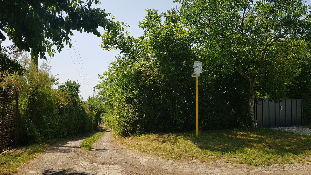 Predám dva vinohradnícke domy s pozemkami medzi vinohradmi p - 13