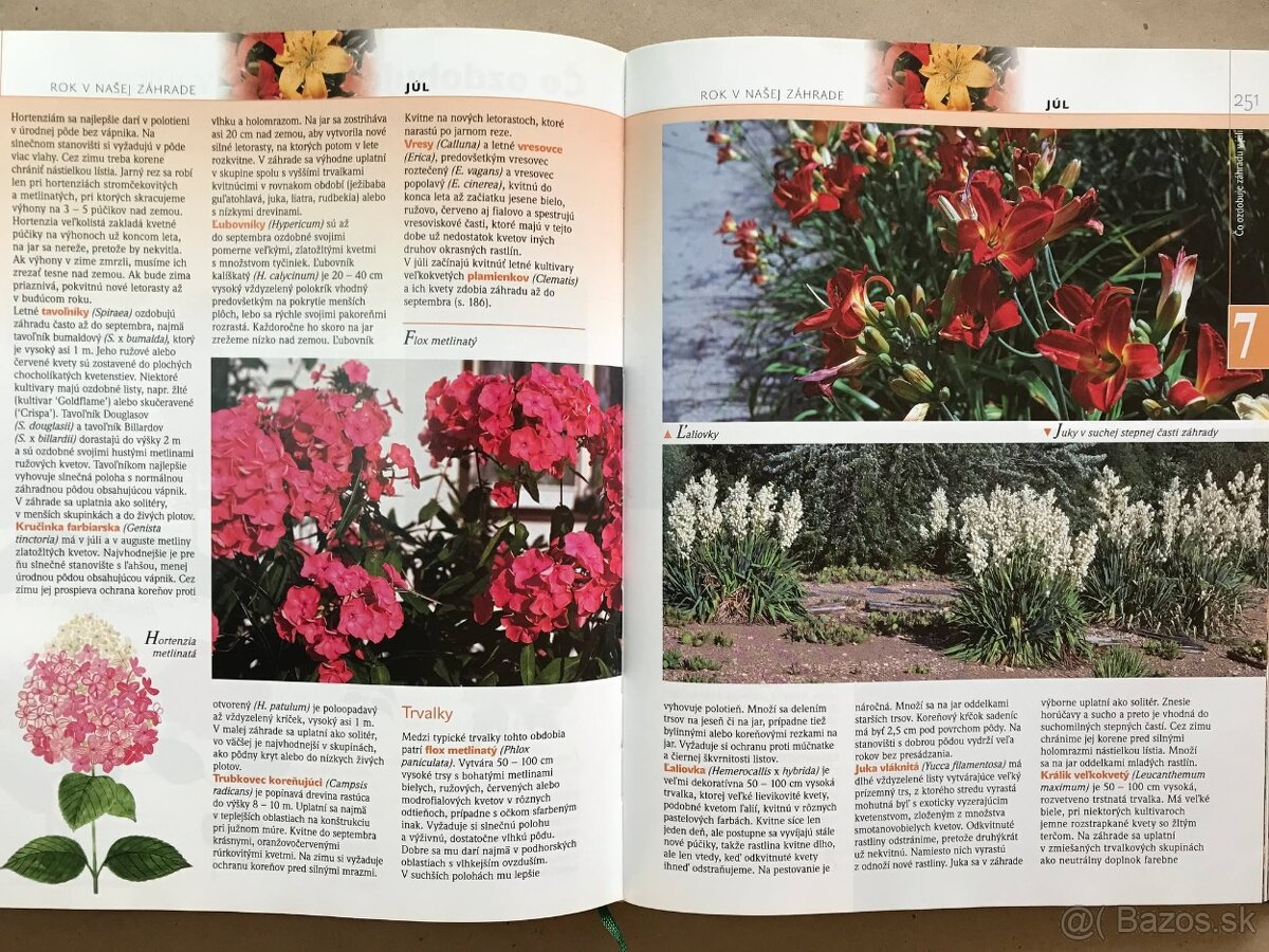 Bukovský, Psy, Golf Fyzika, Malý atlas húb, Slovenský futbal - 13