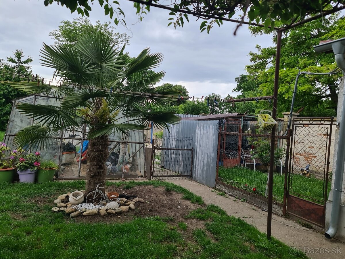 Predám 4 izb. rodinný dom - 13