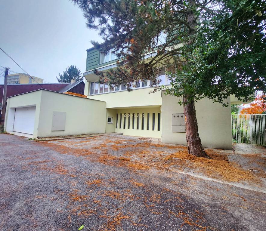 ASSENZIO - PRENÁJOM - 2-IZBOVÝ BYT - 57 m2 - DOLNÁ ULICA - S - 13