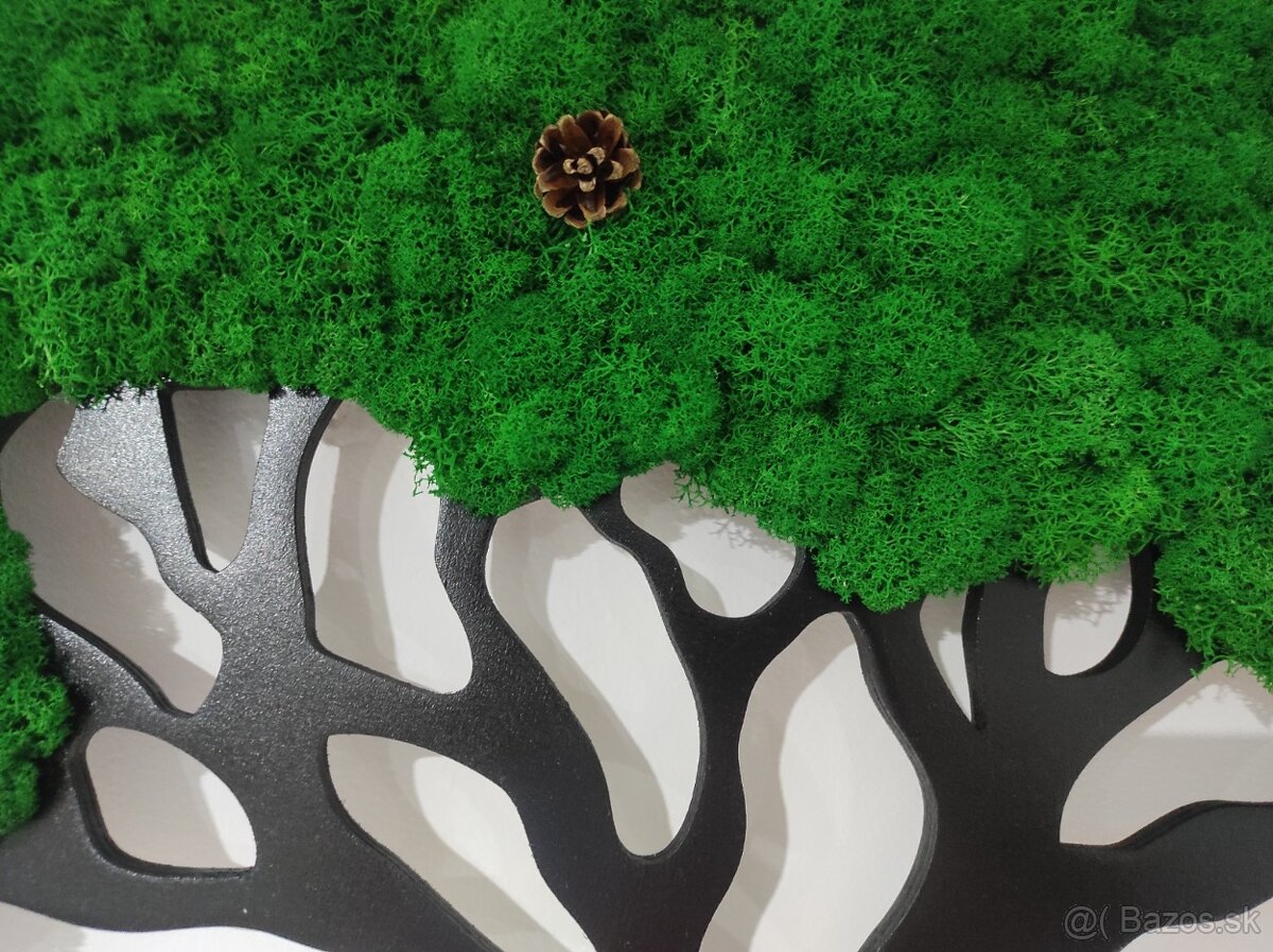 Predám obraz z machu: Strom šťastia (Ø80 cm) - 13