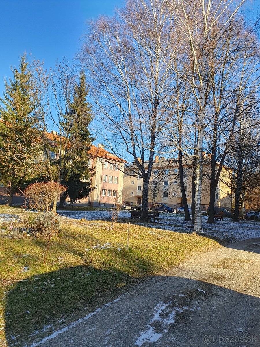 "Prenajmem 2 izbovy byt - 13