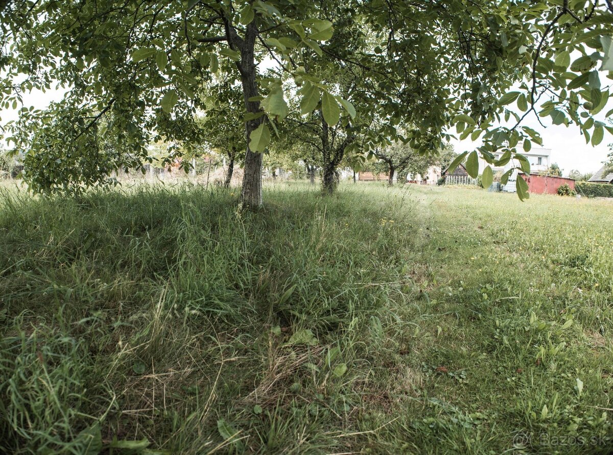 Záhrada s ovocnými stromami v Porube - 13