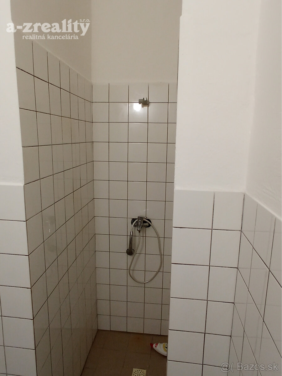 Znížená cena Komerčný objekt v Zemianskej Olči na predaj - 13