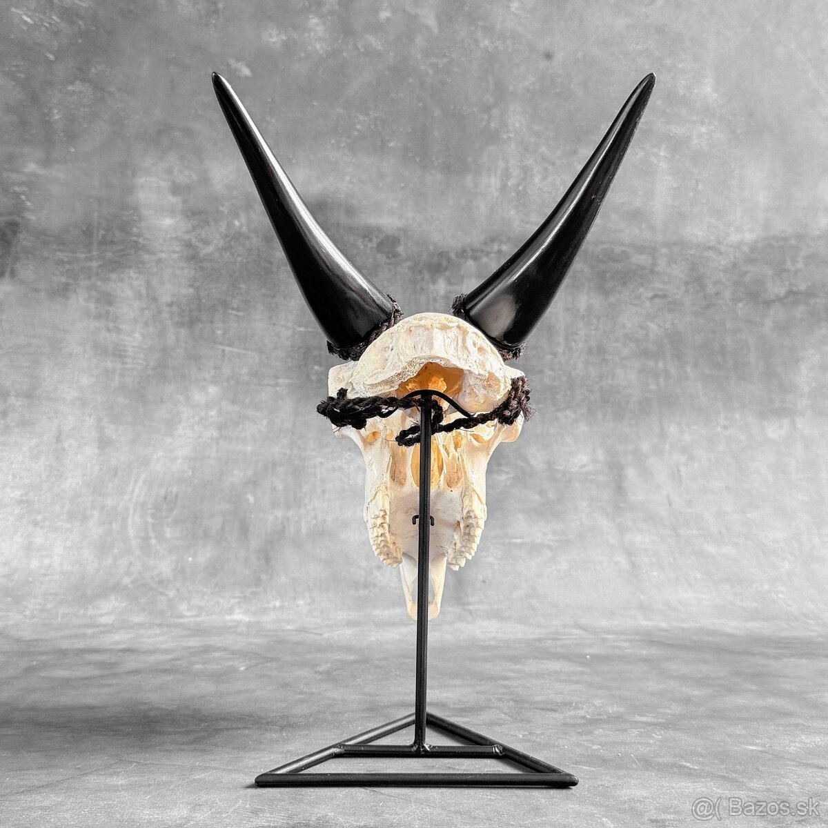 Autentická biela vyrezávaná lebka kozy - motív veľký lotos - 13