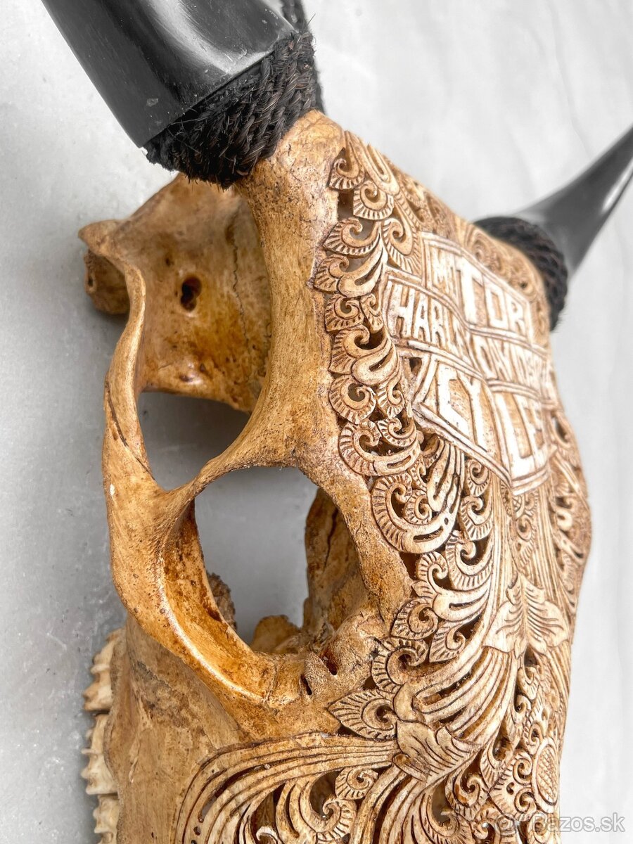 Ručne vyrezávaná lebka býka Harley Davidson, 54cm - 13
