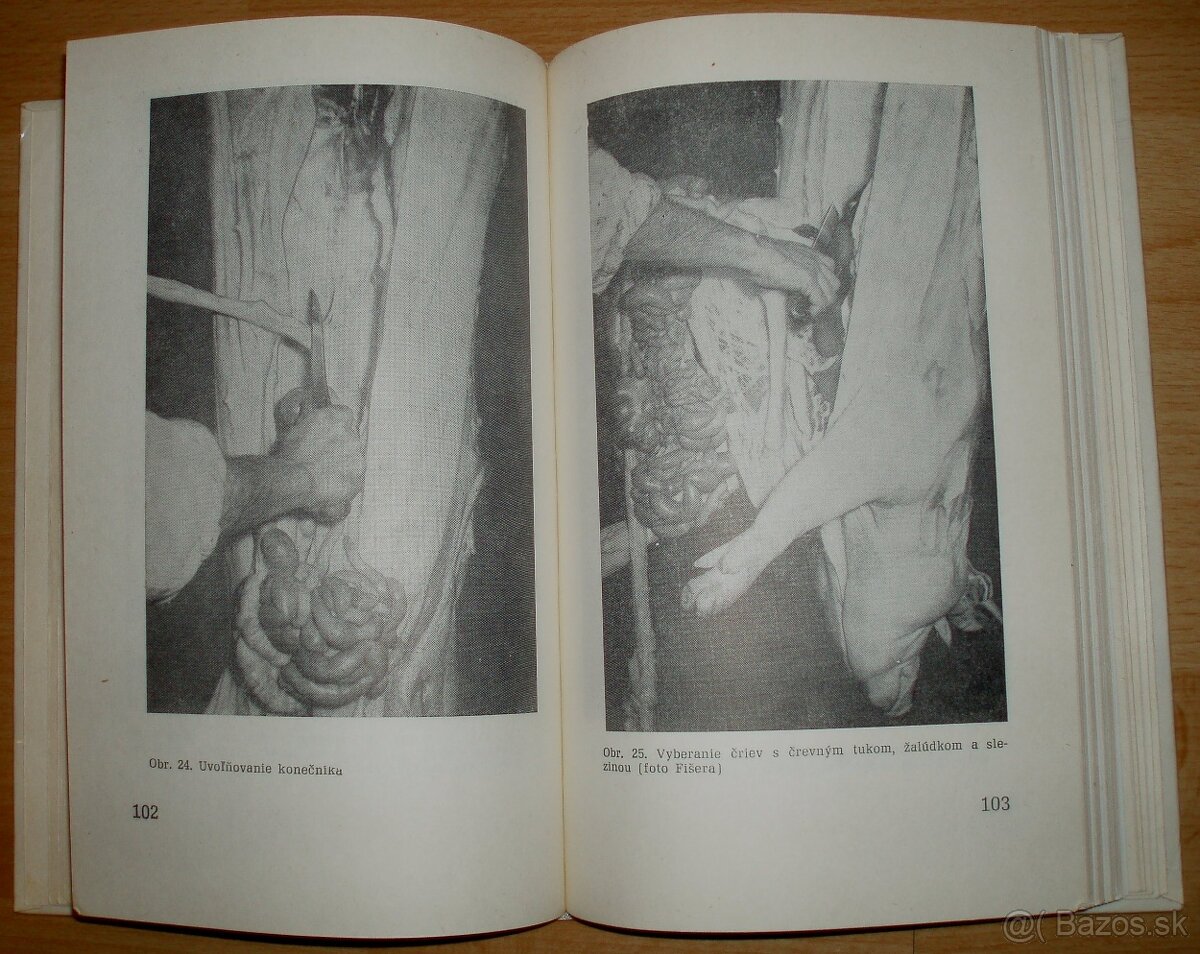 Domáca zakáľačka - 13