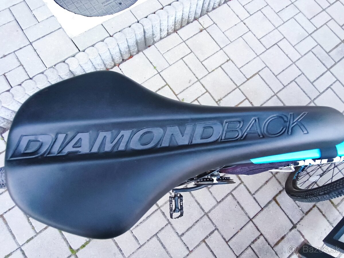 Diamondback Outlook - 13