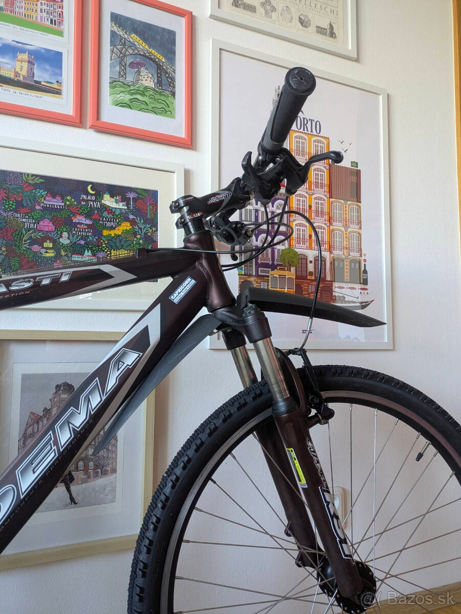 Horský bicykel Dema Asti - 13